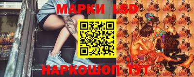 прущий лед Будённовск