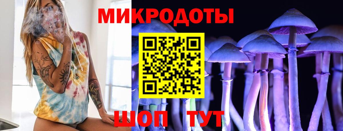 Галлюциногенные грибы Cubensis  купить закладку  Рубцовск  Вход с VPN 